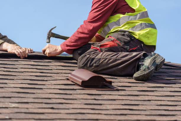Roof Gutter Cleaning in Heron Bay, GA